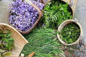 就是这里！一站式集齐魔都春游新姿势：打野、打鸟、村咖！年轻人都爱了！图片