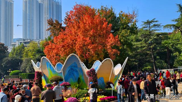 中山公园的秋，是写给武汉的一首诗