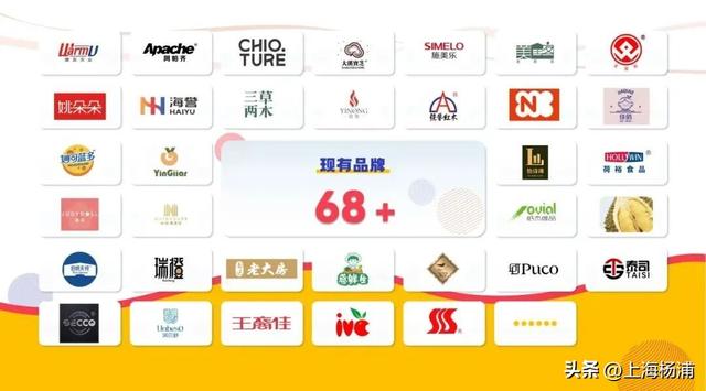 近百个街头市集，周末上复兴岛一站式“吃喝玩乐”