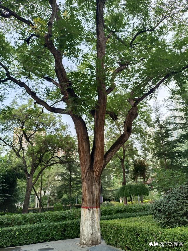 游邓(邓宝珊)家花园