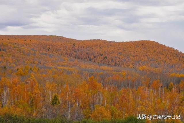 内蒙古与俄罗斯交界有个小镇，异域风情浓郁，就像到了俄罗斯一样