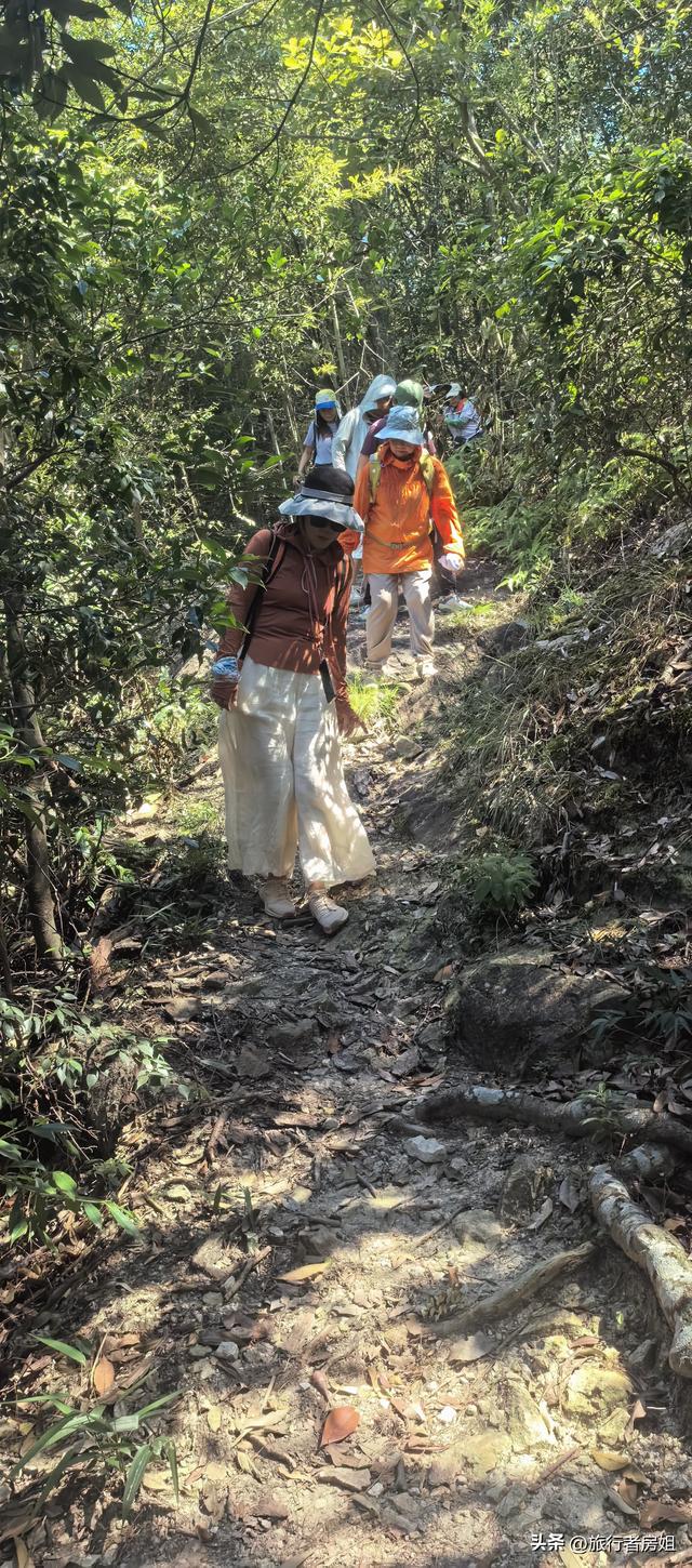 宁海雁苍山佛手台