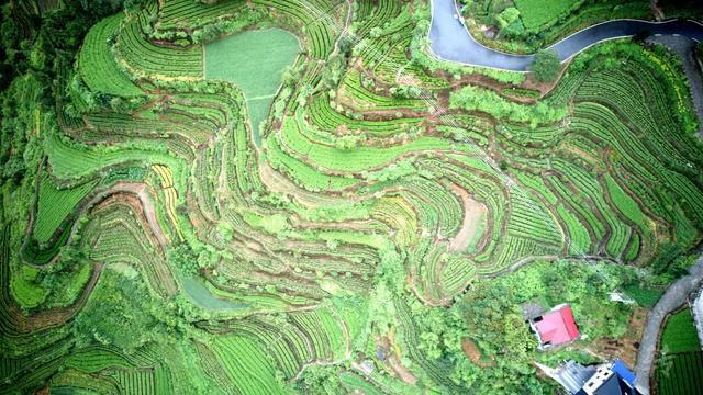 皖浙摩旅二人转——松阳杨家堂篇（下）