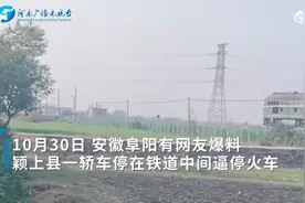 网传轿车停铁道中间逼停火车，拍摄者：经常刹车，总有老人在上面走；煤矿：只有1.5公里，速度不快图片