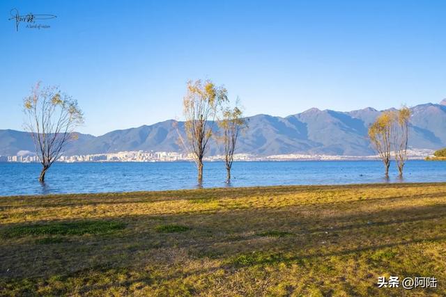 洱海的湿地公园很多,这几座孤岛风景不错,只是唯一的浮桥太晃荡