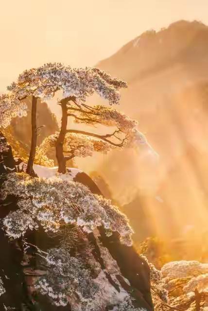 5点04分大雪，老话“不怕大雪雪	，最怕大雪晴”，大雪晴啥说法？