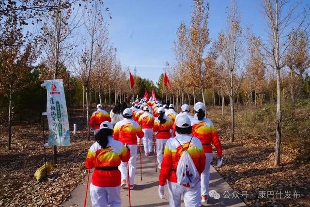 重阳登高暖意浓 银龄健步承古风