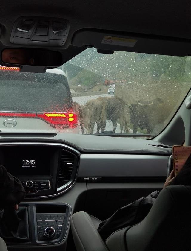 新疆独库公路之旅