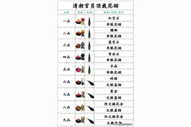 一图看懂清朝官员顶戴花翎图片