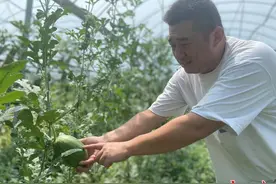 农技推广员业余时间做主播，让家乡的农产品被更多人知道图片