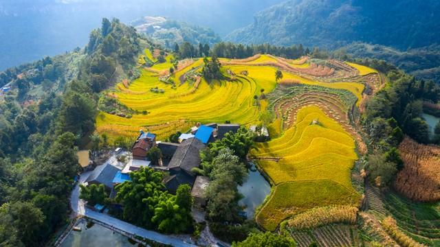 再不去就亏了！恩施这5个秋日秘境，第一个就让你惊艳到说不出话