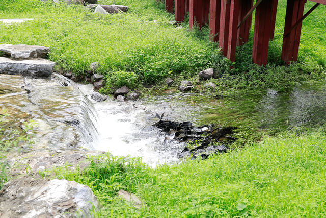 燕谷犹在，秋意正浓：李白诗里的舞彩浅山什么样？