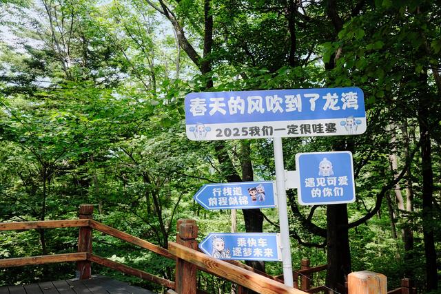 吉林通化龙湾群国家森林公园，环境优美，是假日避暑纳凉的好去处