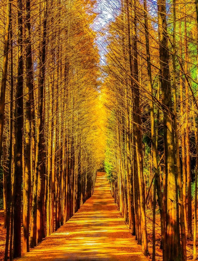 广元不远 周末优选 | 初露染山河，广元发来一份秋日邀请函