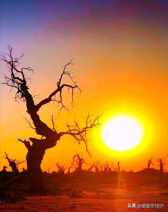 几度夕阳红
