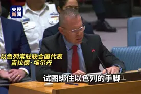压迫感满满 中国外交官张军教科书级别回应以色列代表图片