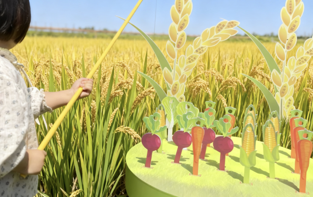 太仓顶流！稻田里的丰收狂欢，本周末必冲！