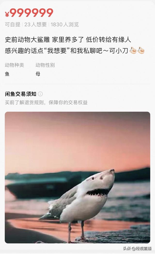 “齐白石的虾”“大鲨雕”闲鱼抽象商品引吐槽，卖家：AI 生成仅博一笑，不发货！平台：可举报处理