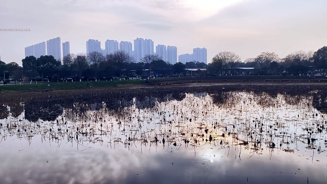 水乡藏韵 诗里寻踪 潜江行之“曹禺大剧院 在光影与文脉间漫步”