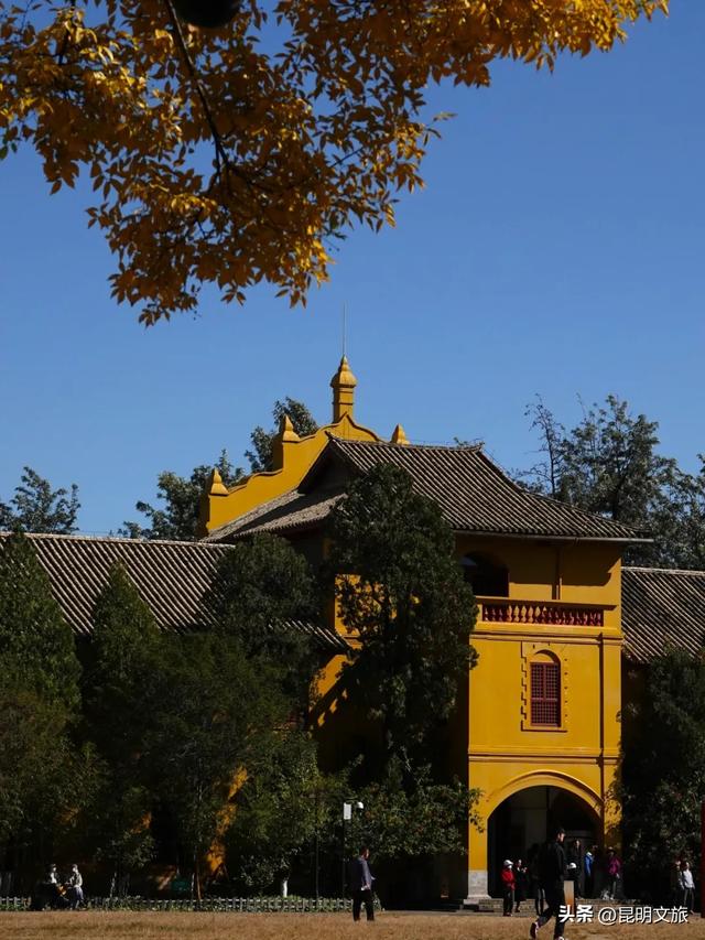 全屏“封神”！这可是昆明初冬的超绝顶流！保姆级攻略来袭，趁天晴立马冲！