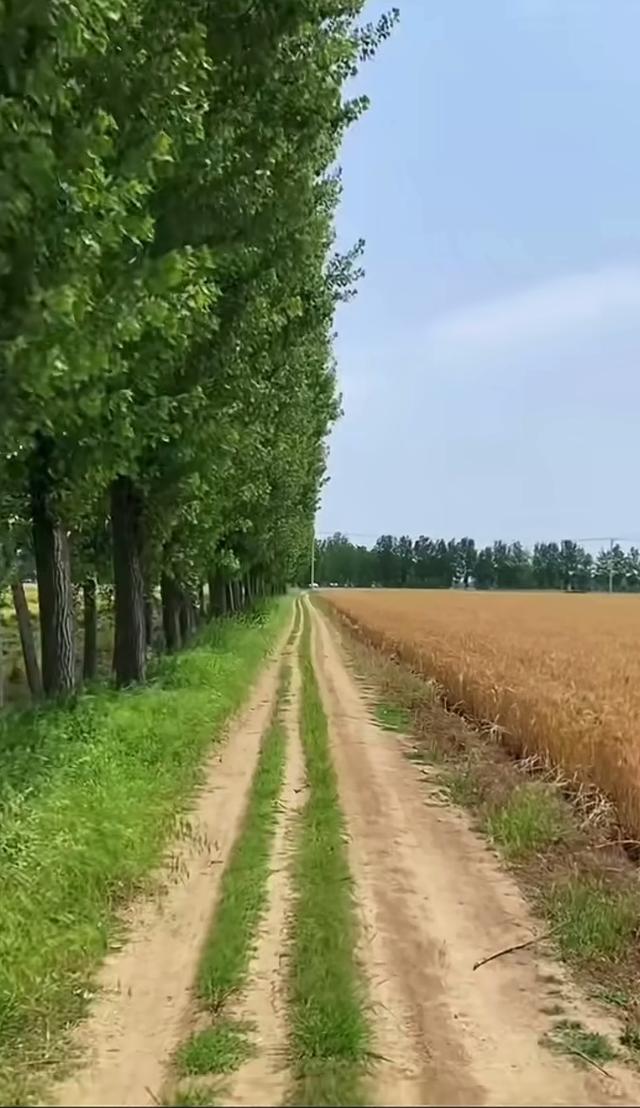 缁胯壊鎶ょ溂澹佺焊缇庡浘