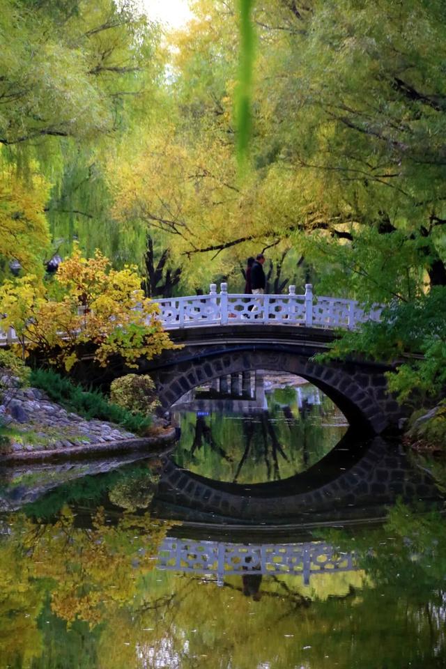 进度已达90%！呼和浩特进入全盛期！最近每天都不一样，呼市人抓紧出门