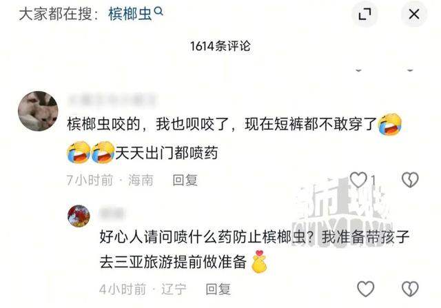 海南三亚天涯小镇一民宿惊现臭虫	，一女子被咬后过敏，全身起满红疙瘩，当地文旅部门介入