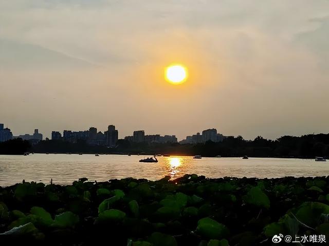 又一批“济南寻美客”出炉！欢迎你也来将济南的美定格