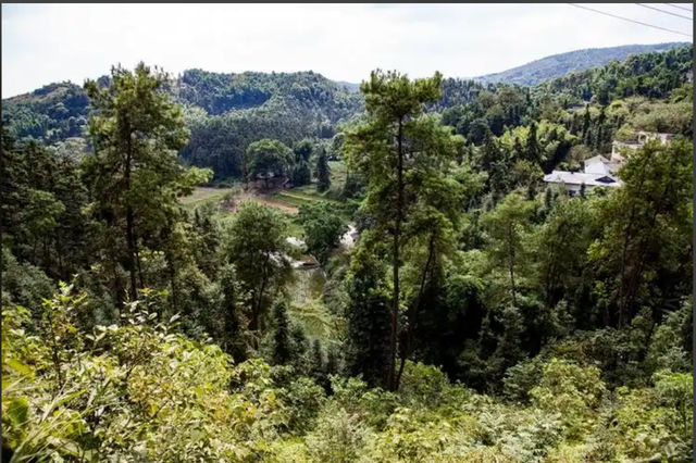 【川南F4】沱江冲开富顺青山留下来的峡山美景