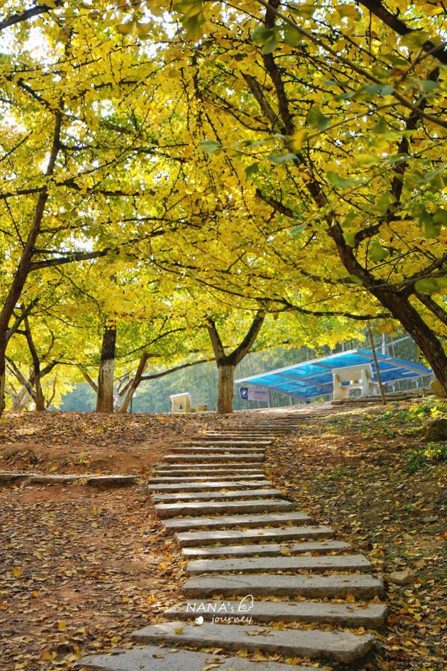 漫游韶关，赴一场山水间的秋日之约