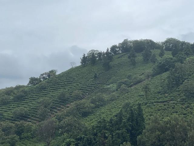 骑游滁州西神山寺森林公园花山风景线