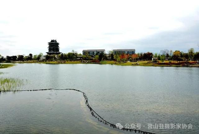 李永辉：成都东安湖掠影