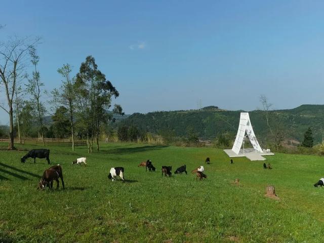 乐游天府卫星城｜眉山天府新区真人闯关游戏来了！
