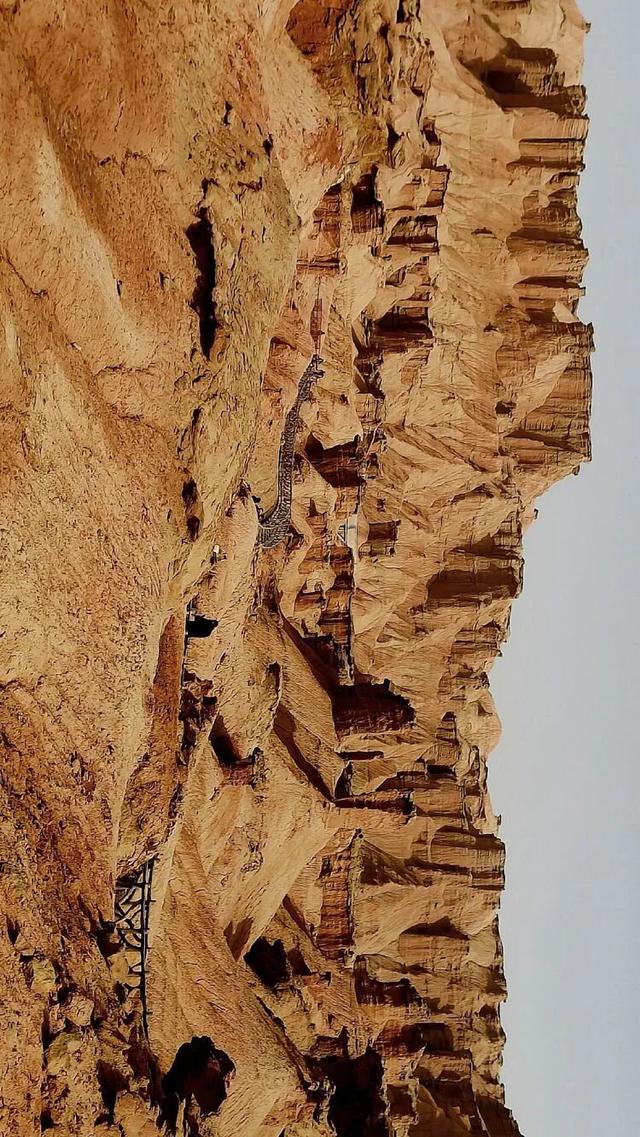 邢强 | 秋游南疆