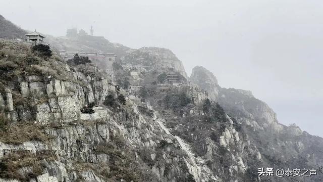 泰山今冬首场降雪，把千年名山裹成诗意画卷！