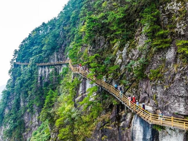 明月山迎多样旅行团,点亮夏日避暑经济!