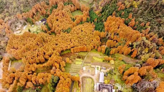 漫山彩林，琉璃坝的色彩美学