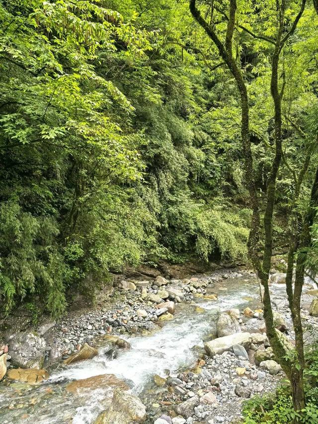 西岭雪山发生多起猴伤人事件，当地村民也饱受猴群困扰，景区回应：游客投喂是令我们头痛的一件事