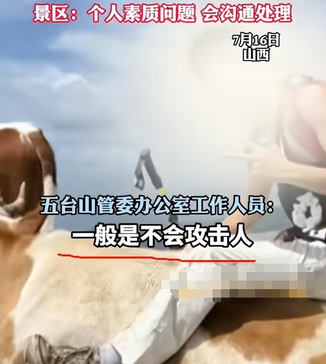 真相大白！男子遭牛群踩踏，不是因为挑逗，知情人透露 目标不是人