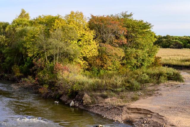 从湖南去了一趟伊春，实话实说，回来才发现朋友圈都是骗人的？