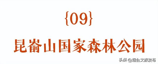 【乐游烟台】正式宣布！下一轮降温前，烟台人该……