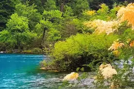 人的命运天注定，该吃什么饭，该娶谁为妻，冥冥之中，早有定数。图片