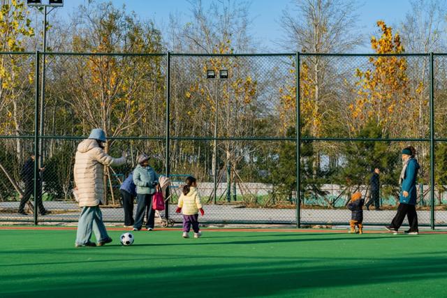 完全开放！石景山新添一个免费公园→