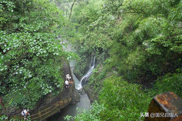“渝黔生物基因库”黑山谷游记