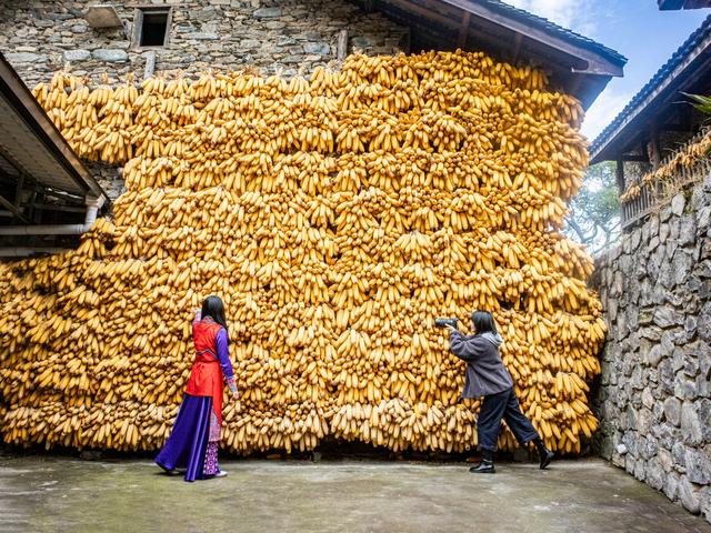 四川石棉蟹螺藏族乡：金秋藏堡 岁月鎏金