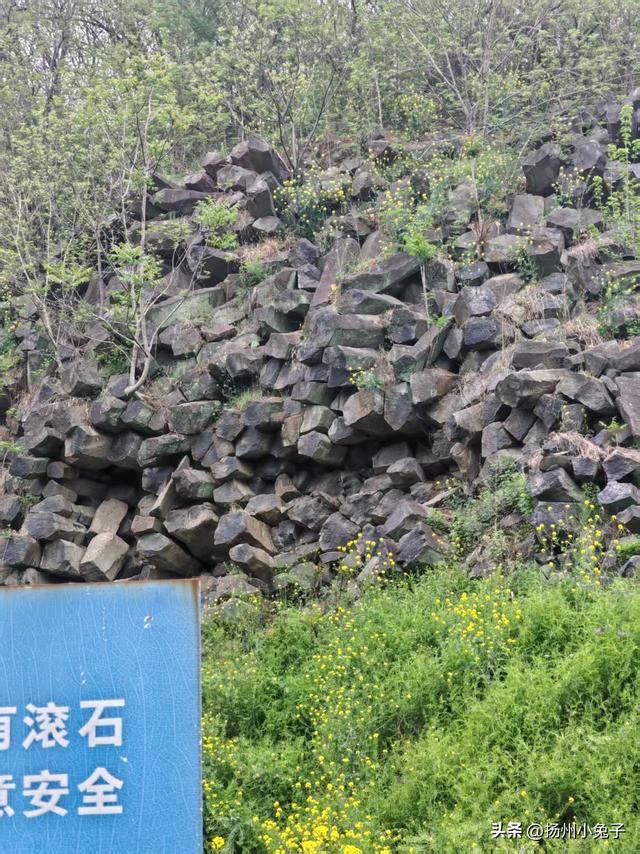 她乐乐地游，我遥遥地观