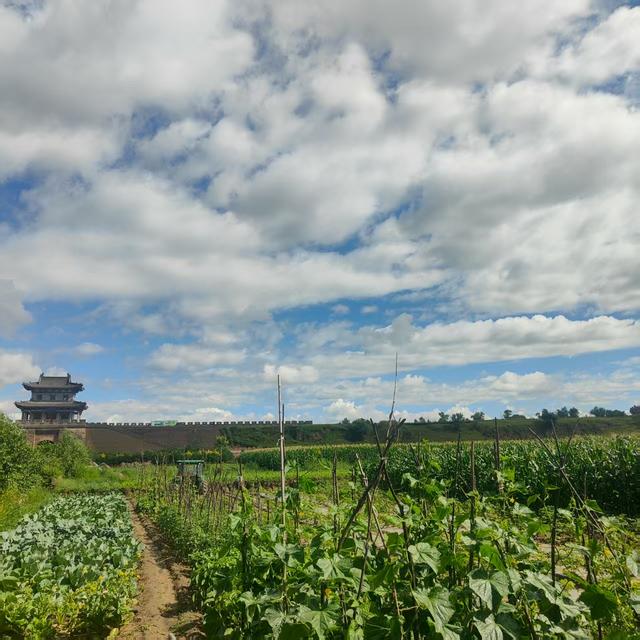 【金戈铁马·长城纪行】边塞右卫城