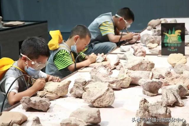 门票减免、研学优惠……禄丰恐龙谷发福利惠及特殊群体