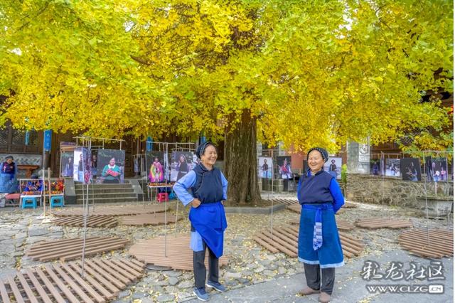 寻美云南（四）大理凤羽，诗意旅居