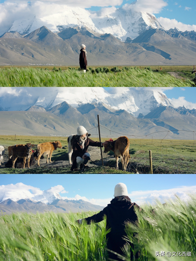 太绝了！西藏那些一眼难忘的山形！你认识几座？